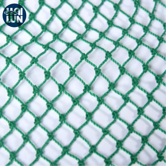 Recipiente Frango Aquicultura Palete Envoltório Cânhamo Tilápia Rede Esportiva Nylon Teia Nó Cargo PE Trançado Pesca Sem Nós Polietileno Preço Líquido