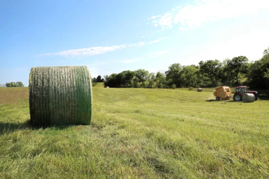 Rede de plástico de 50 cm em rolo 100% PEAD resistente a UV usada para silagem de fazenda Rede de envoltório de fardos de feno branco